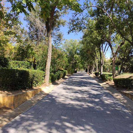 Apartamento Rosa Park Τολέδο Εξωτερικό φωτογραφία